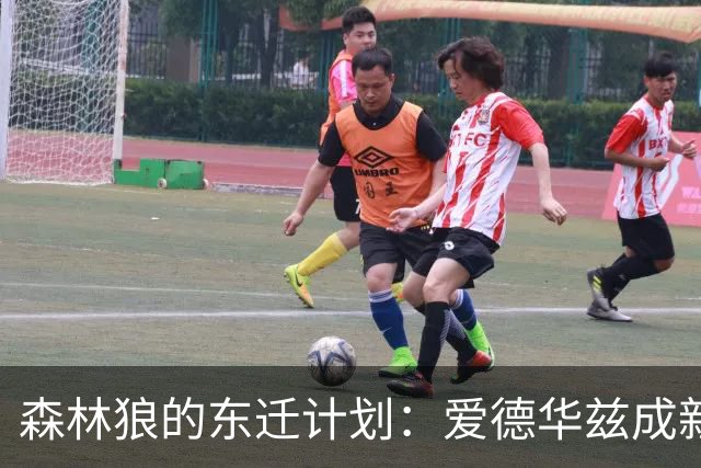 森林狼的东迁计划：爱德华兹成新篇章的关键小霸王
